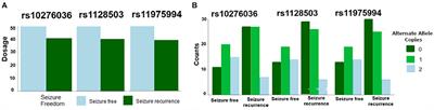 Genetic and molecular features of seizure-freedom following surgical resections for focal epilepsy: A pilot study